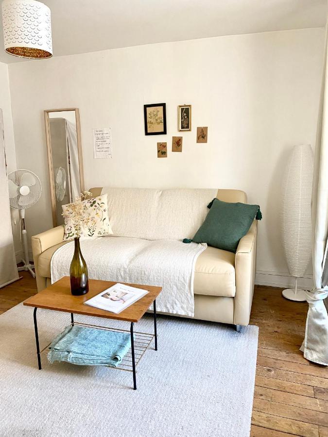 Appart Cosy Dans Le Vieux Tours Lejlighed Eksteriør billede